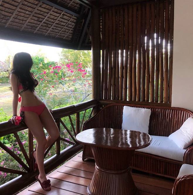 출처: 파이베트