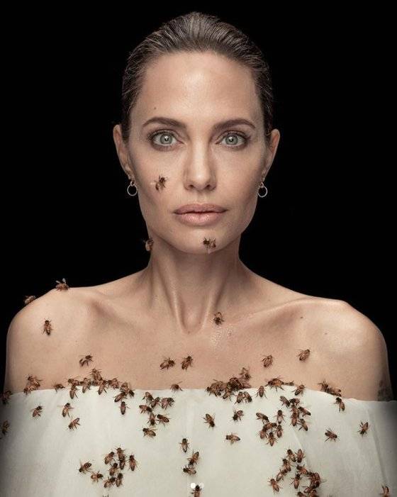 [사진 내셔널지오그래픽 인스타그램 캡처]