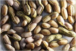 출처: 다음 뉴스 - 대한민국 정책브리핑