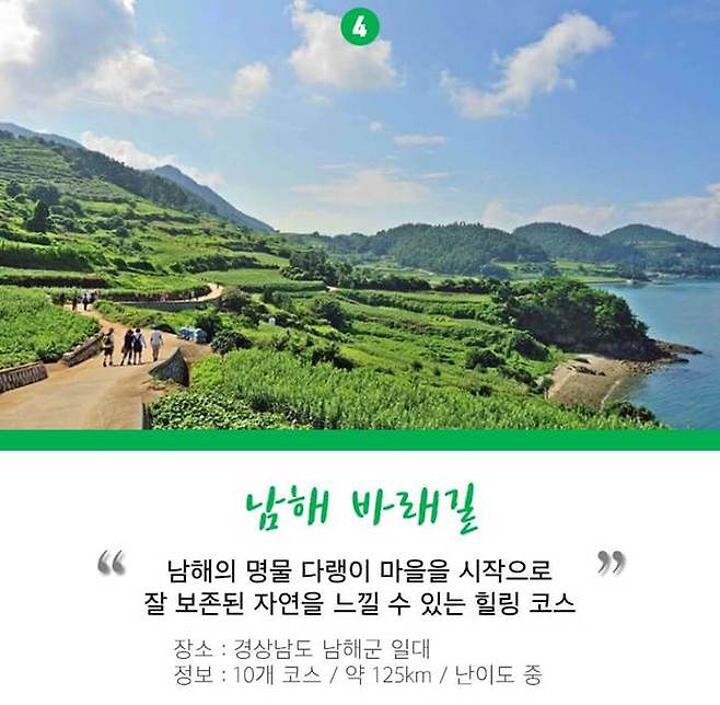 출처: 다음 뉴스 – 쿠키뉴스