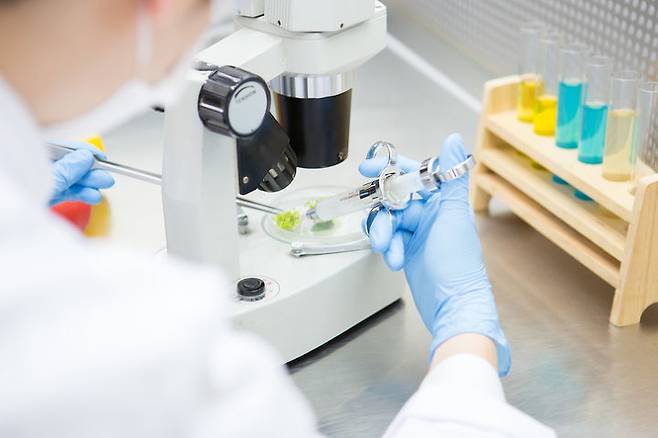 출처: 게티이미지뱅크