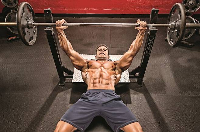 출처: 머슬앤피트니스