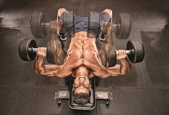 출처: 머슬앤피트니스