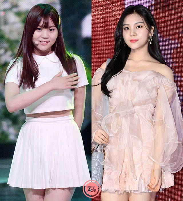 출처: 뉴스에이드 DB