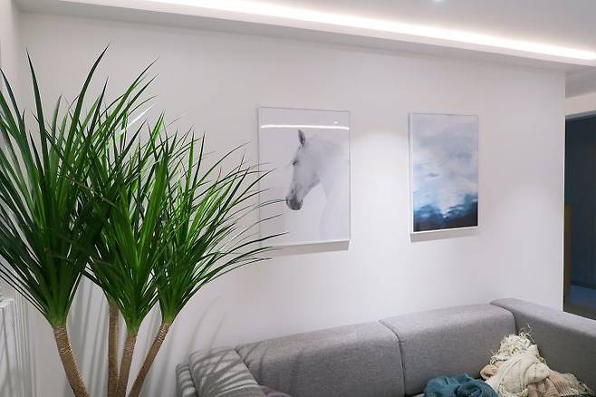 출처: 오늘의집 제품정보 모아보기(▲이미지클릭)