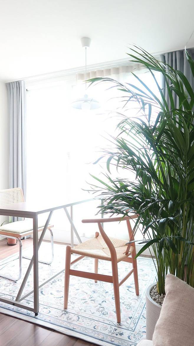 출처: <테이블><의자><러그> 등 제품정보 모아보기(▲이미지클릭)