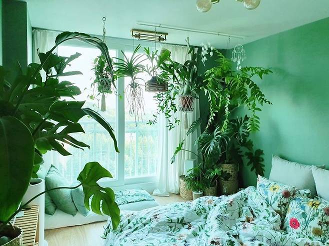 출처: <침구세트><쿠션커버> 등 제품정보 모아보기(▲이미지클릭)