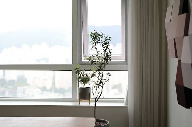 출처: 오늘의집 제품정보 모아보기(▲이미지클릭)