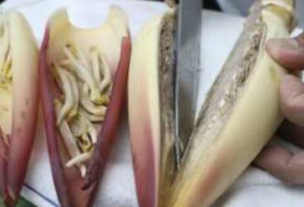 출처: South China Morning Post