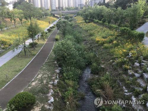 세종시 주거단지를 관통하는 방축천 [연합뉴스 자료사진]