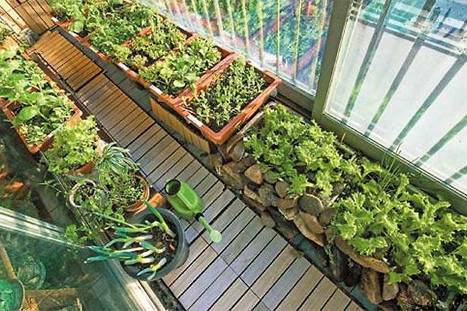 출처: 중앙일보