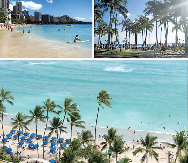 출처: 하와이 100배 즐기기