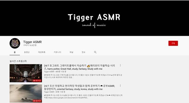 다양한 사운드를 제공하는 구독자 18만 명의 ASMR 채널 'Tigger ASMR'에서 가장 인기 있는 실시간 스트리밍 방송은 '호그와트 그레이트홀에서 자습하기'다. / 유튜브 채널 'Tigger ASMR' 캡처