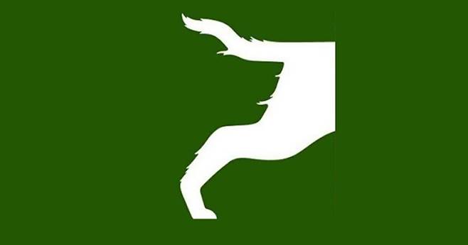 출처: *스트레스 검사* 먼저 보이는 것은?