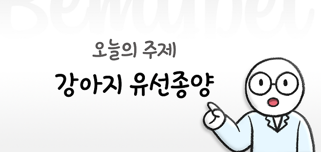 강아지 찌찌에 오돌토돌한 게 잡혔는데, 유선종양이래요 ㅠㅠ | 비마이펫