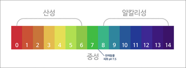출처: 펫프렌즈 홈페이지 어스배스 상품 화면 캡처.