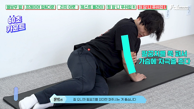 출처: 파이헬스 (파이베트)