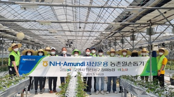 NH-Amundi자산운용 임직원들이 경기 고양에 위치한 장미 재배농가에서 농촌일손돕기 진행후 기념촬영을 하고 있다. NH-Amundi운용 제공