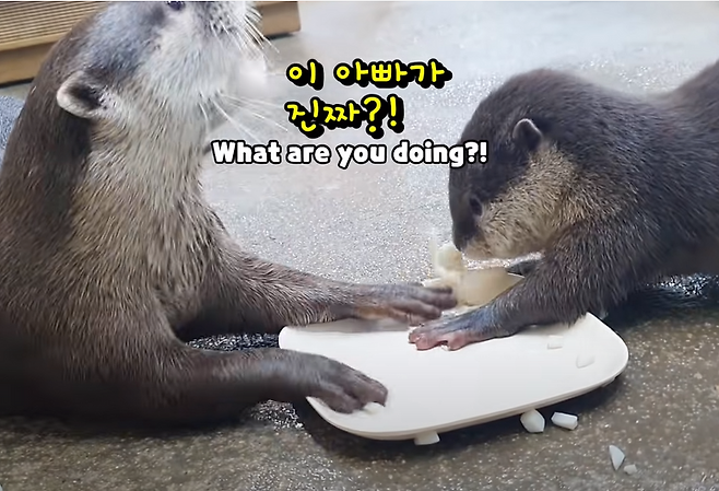 출처: https://www.youtube.com/watch?v=kkjD6cDNWZc