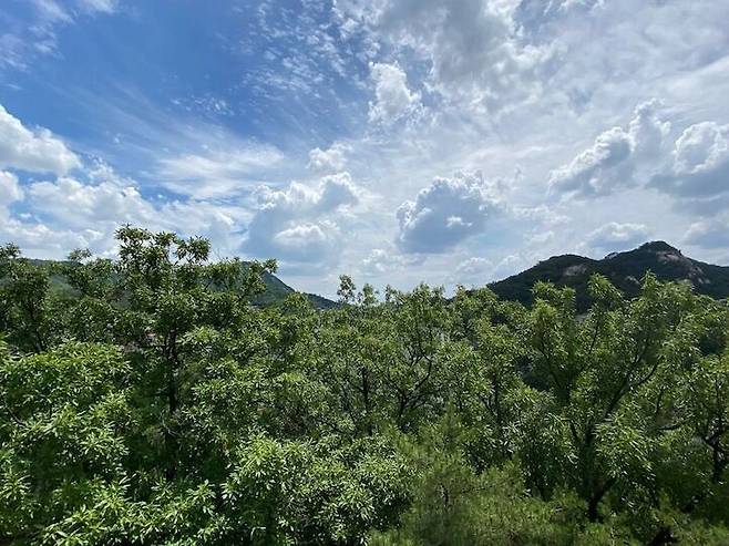출처: 인테리어 정보 자세히 보러 가기 (▲이미지 클릭)