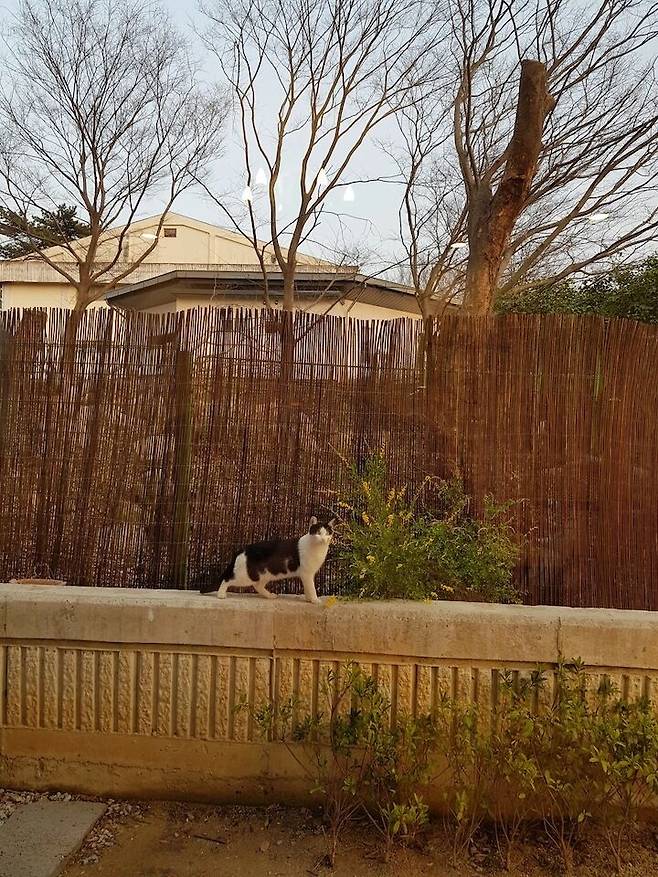 출처: 온라인 집들이 보러 가기 (▲이미지 클릭)