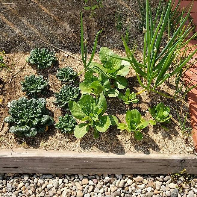 출처: 온라인 집들이 보러 가기 (▲이미지 클릭)