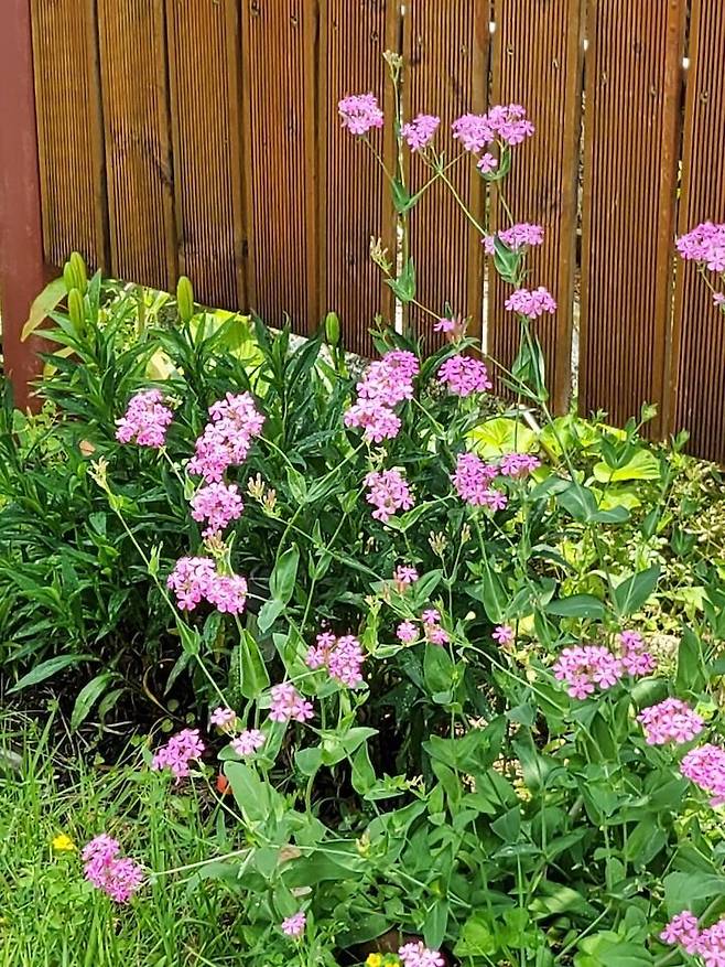 출처: 온라인 집들이 보러 가기 (▲이미지 클릭)