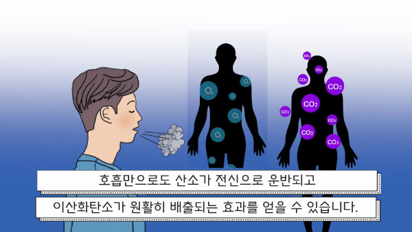 출처: 책식주의