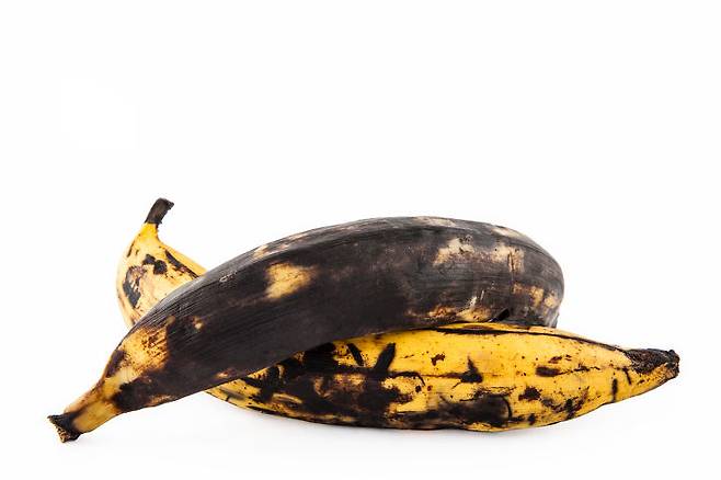 출처: 사진- ⓒ게티이미지뱅크