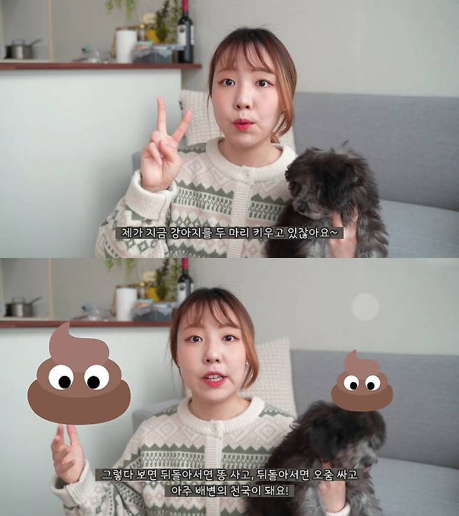 출처: 공실이 유튜브 채널