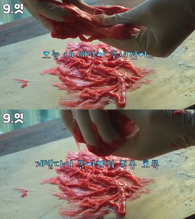 출처: 천방지축 김채피 유튜브 채널