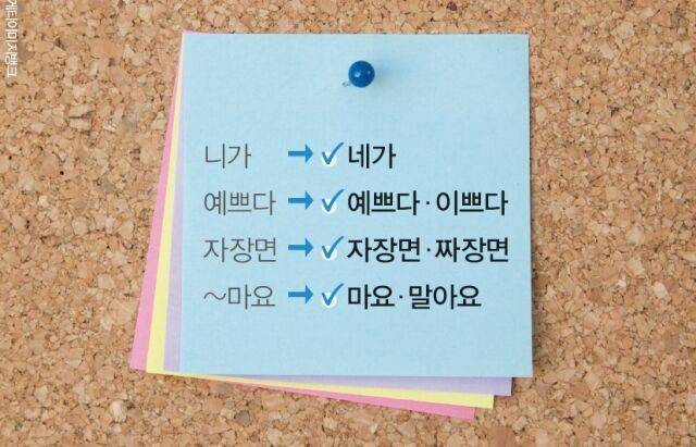 출처: 게티이미지뱅크