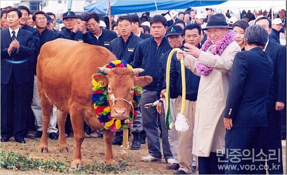 출처: 민중의소리