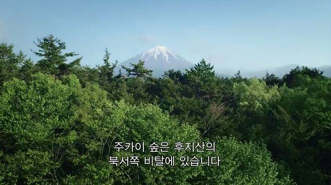 출처: '다크 투어리스트: 어둠을 찾아가는 사람들'