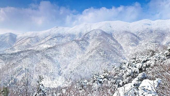 출처: 천안의 흥 공식홈페이지