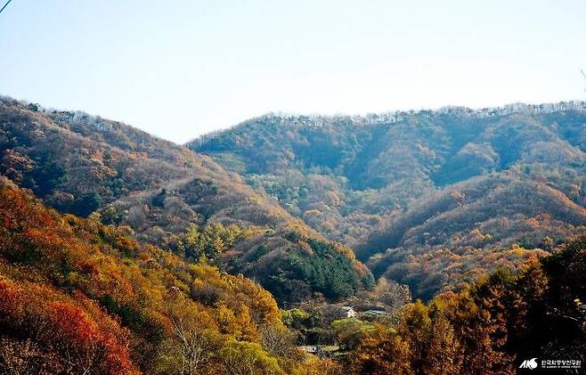 출처: 네이버 지식백과