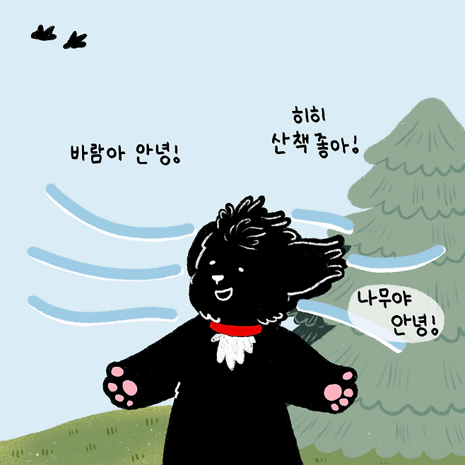 강아지랑 산책하다 꽈당한 이유 | 비마이펫