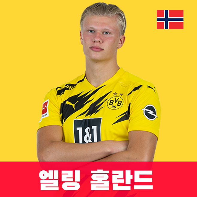 출처: https://www.bvb.de/eng