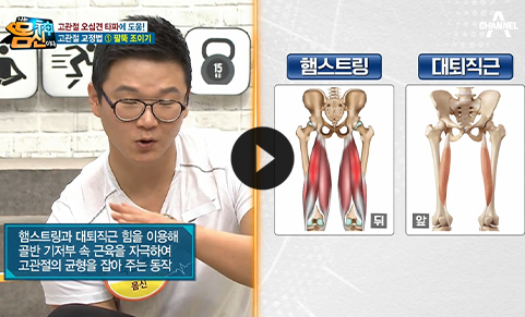 출처: 단 40초 만에 고관절을 교정한다...? 고관절 교정법 첫 번째 '팔뚝 조이기'