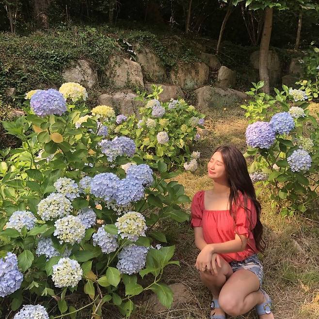 출처: 파이스타일 (파이베트)