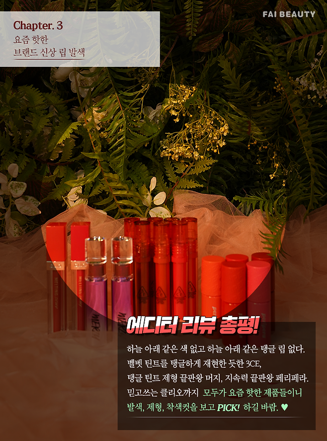 출처: 파이뷰티 (파이베트)