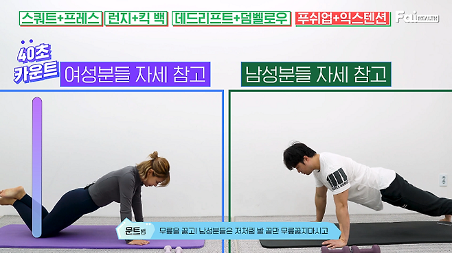 출처: 파이헬스 (파이베트)