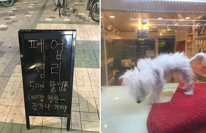 출처: 유엄빠 블로그 캡처