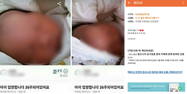 출처: 당근마켓, 중고나라 캡처