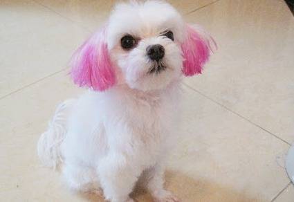 출처: 커뮤니티