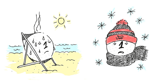 출처: vicegolf.com