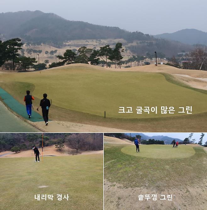 출처: allthatgolf.kr
