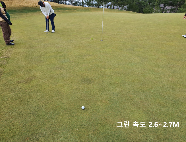 출처: allthatgolf.kr