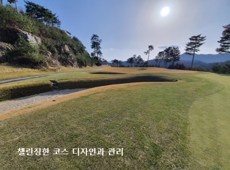 출처: allthatgolf.kr