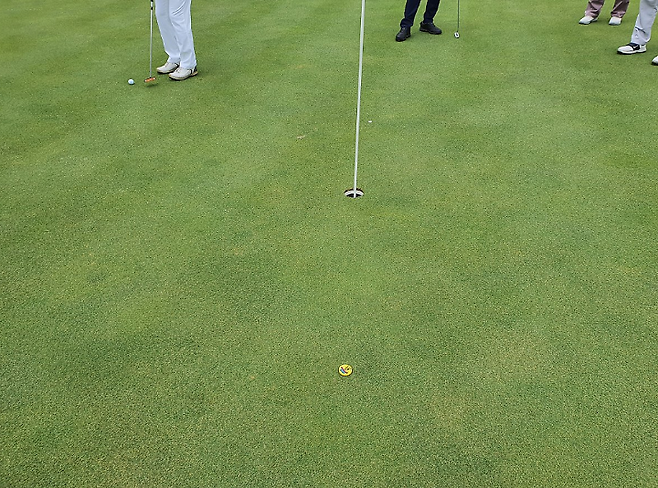 출처: allthatgolf.kr